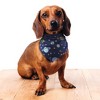 Luvable Friends Dog Reversible Pet Dog and Cat Bandana Bibs 2pk, Space Camo, One Size - 4 of 4