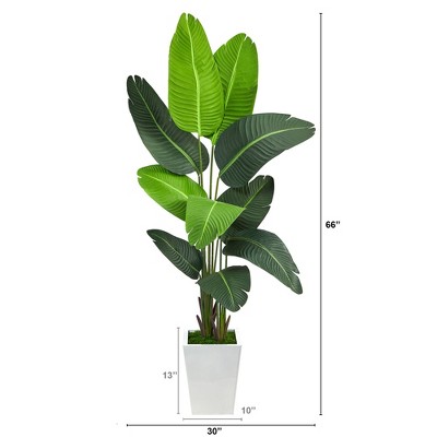 Lifelike Variegated Palm 61" Artificial Tree in White Planter