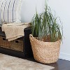 19"x20"x18" Brown Sea Grass Contemporary Storage Basket - Olivia & May - 3 of 4