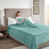 Plush Electric Heated Bed Blanket - Beautyrest - image 2 of 4