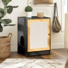 Bencmate Cat Litter Box Enclosure, Hidden Cat Washroom, Kitty End Table, Litter cabinet with sisal door,Multicolored, (22.4"*20"*31.5") - 3 of 4