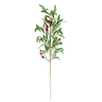 Northlight 28" Artificial Olive Branch Stem with Leaves and Fruit