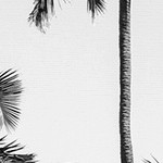 luster gray