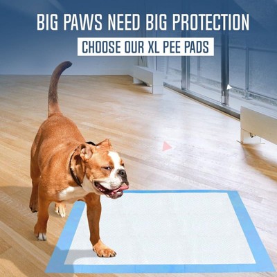 Extra Large Blue 36x36 Inch Dog Training Pads