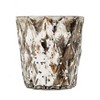 Gulches Flame Candles: 4x6" Unscented White & Ivory, 3.5" Scented with Holders, 2.8" Earl Grey in Glass - 3 of 4