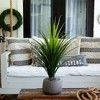 Nearly Natural 3-ft UV Resistant Artificial Grass Plant (Indoor/Outdoor) - 4 of 4