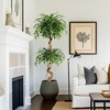 5FT Faux Ficus Tree with Curved Trunk & White Pot - Artificial Silk Plant for Home, Office, Living Room Decor - 3 of 4