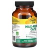 Country Life Max-Amino Caps with Vitamin B6, 90 Vegetarian Capsules - 4 of 4