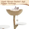 43" with Large Basket,Multi-Level Cat Tree, Scratching Posts and Real Branch Design, Dangling Ball,and Extended Platform for Cats to Play and Sleep - 4 of 4