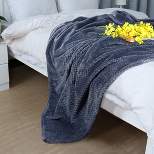PiccoCasa Flannel Fleece Bed Blankets Fuzzy Plush Lightweight Bed Blankets