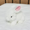 Gund Whiskers Rabbit White 12 Inch Plush Animal - image 2 of 3