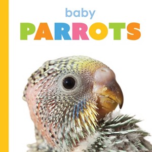 Baby Parrots - (Starting Out) by  Kim Thompson (Paperback) - 1 of 1