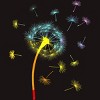 Design By CreativeHT Humans Rainbow Colorful Dandelion Flower Pride By CreativeHT T-Shirt - 2 of 2