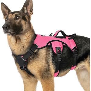rabbitgoo Escape Proof Dog Harness, Soft Padded Full Body Pet Harness, Reflective Adjustable Dogs Walking Hiking Training, XL, Pink - 1 of 1