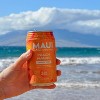 Maui Island Hard Tea Peach Mango - 6pk/12 fl oz Cans - 4 of 4