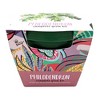 Buzzy Seeds 5.5" Plastic Grow Pot Philodendron - 3 of 4