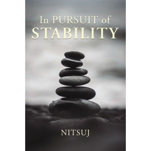 In Pursuit of Stability - by  Calvin Belcher (Paperback) - 1 of 1