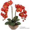Floral Home 33.5" Orange Phalaenopsis Stem with 9 Flowers - 12-Piece - 2 of 4