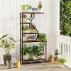 Artloge 5 Tier Metal Plant Stand Flower Holder Shelf Garden Flower Pots Organizer Bookcase Storage Cabinet Rack for Patio Livinging Room Hallway - 2 of 4