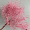 Alilang Decorative Dried Ming Fern Stems for Elegant Home Decoration and Creative Floral Arrangements, 19.5 Inches - 2 of 3