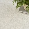 Nourison Plush Shag Indoor Rug - 3 of 4