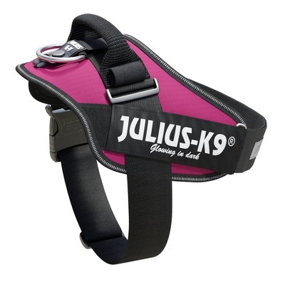 purple julius k9 harness