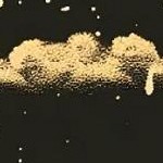 clear push pins bundle