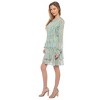 Parker and Rowe | Printed Mini Tier Dress - 3 of 3