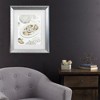 Trademark Fine Art - 1x Studio III Oysters A Pearls No 03 Matted Framed Art - 2 of 4