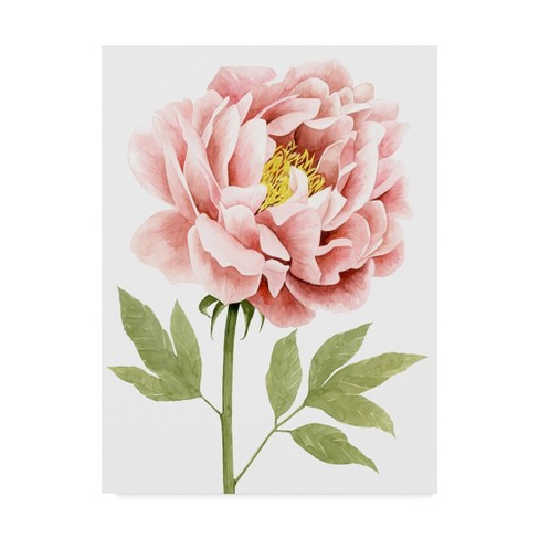 Grace Popp 'watercolor Peony I' Canvas Art - Trademark Fine Art