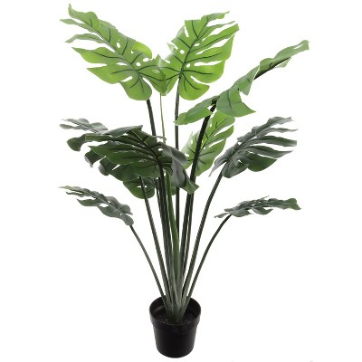 Floral Home 36" Split Philodendron Plant in Pot - 1-Piece
