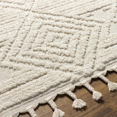 Hauteloom Manyas 3D Bone Area Rug with Tassels