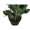 NicBex Artificial Plant 29" Tall Artificial Tree with Black Pot, Room Decor for Home Office Foyer Porch - 4 of 4