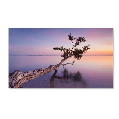 18" x 32" Water Tree XV by Moises Levy - Trademark Fine Art