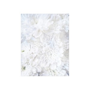 Great Papers! White Soft Petals Everyday Letterhead White 80/Pack (2020144) - 1 of 1