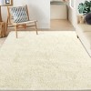 Area Rug Soft Fluffy Shage Area Rug for Living Room Black Shaggy Carpet Faux Fur Washable Rugs - 3 of 4