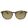Salvatore Ferragamo SF 911S 003 Unisex Round Sunglasses Striped Grey 53mm - 2 of 3