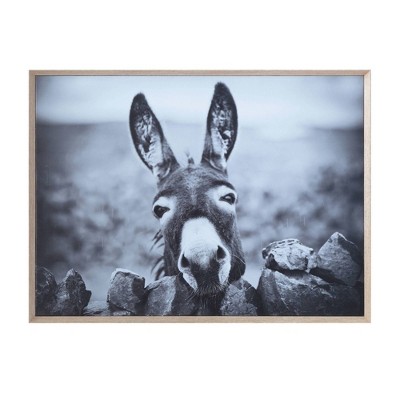 donkey frame