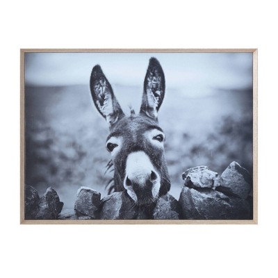 38.7" x 28.7" Donkey on Canvas Framed Wall Art Black/White -Storied Home: Modern Style, Hardwood Frame, Animal Subject