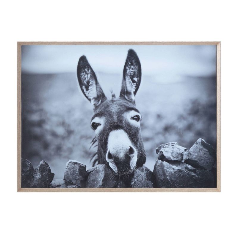 38.7&#34; x 28.7&#34; Donkey on Canvas Framed Wall Art Black/White -Storied Home, 1 of 10
