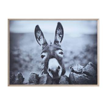 38.7" x 28.7" Donkey on Canvas Framed Wall Art Black/White -Storied Home