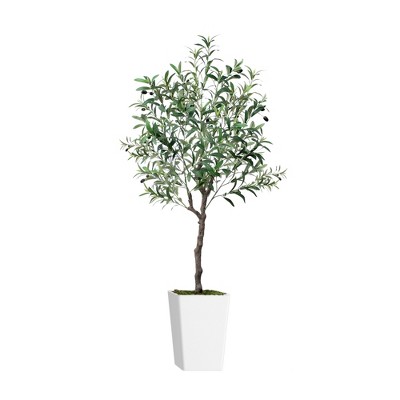 olive tree