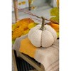 Gulches Series Multicolored Shatterproof Grid Pumpkin Harvest Festival Ornament - 2 of 4