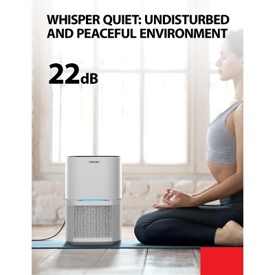 Toshiba Blue HEPA Air Purifier with Odor Absorbing Filter