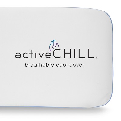 Jumbo Cool Sleep Memory Foam Pillow with Hypoallergenic Cover