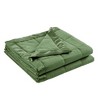 Sapphtopaz Twin Size 3M Scotchgard Down Alternative Blanket, Microfiber Throw Blanket with Satin Trim, 68" x 90" Lightweight Cooling Blankets for Bed - 3 of 4