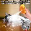 BABYYER 3 In1 Steamy Cat/Dog Brush - Multifunctional Grooming Tool  , Pet Hair Removal Comb for Shedding & Massage - 2 of 4