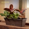 Bloem Dura Cotta Resin Rectangle Window Box Planter with Saucer Tray - 2 of 4