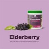 Amazing Grass Greens Blend Superfood for Immune Support: Super Greens Powder with Spirulina, Chlorella, Elderberry, Enzymes & Probiotics, 30 Servings - 3 of 4