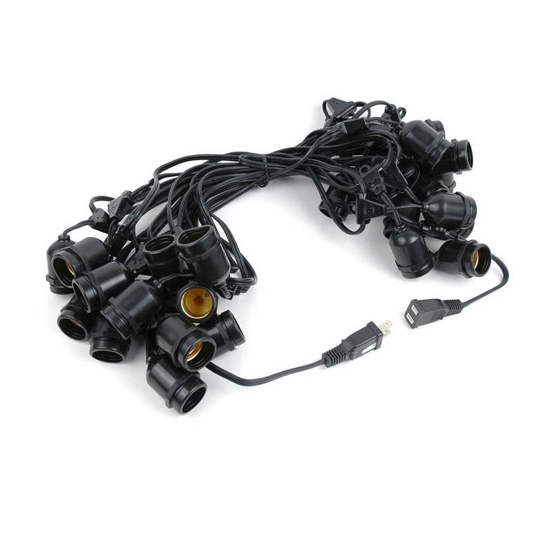 Novelty Lights Edison Outdoor String Lights with 25 Suspended Sockets Black Wire 37.5 Feet, 2 of 6